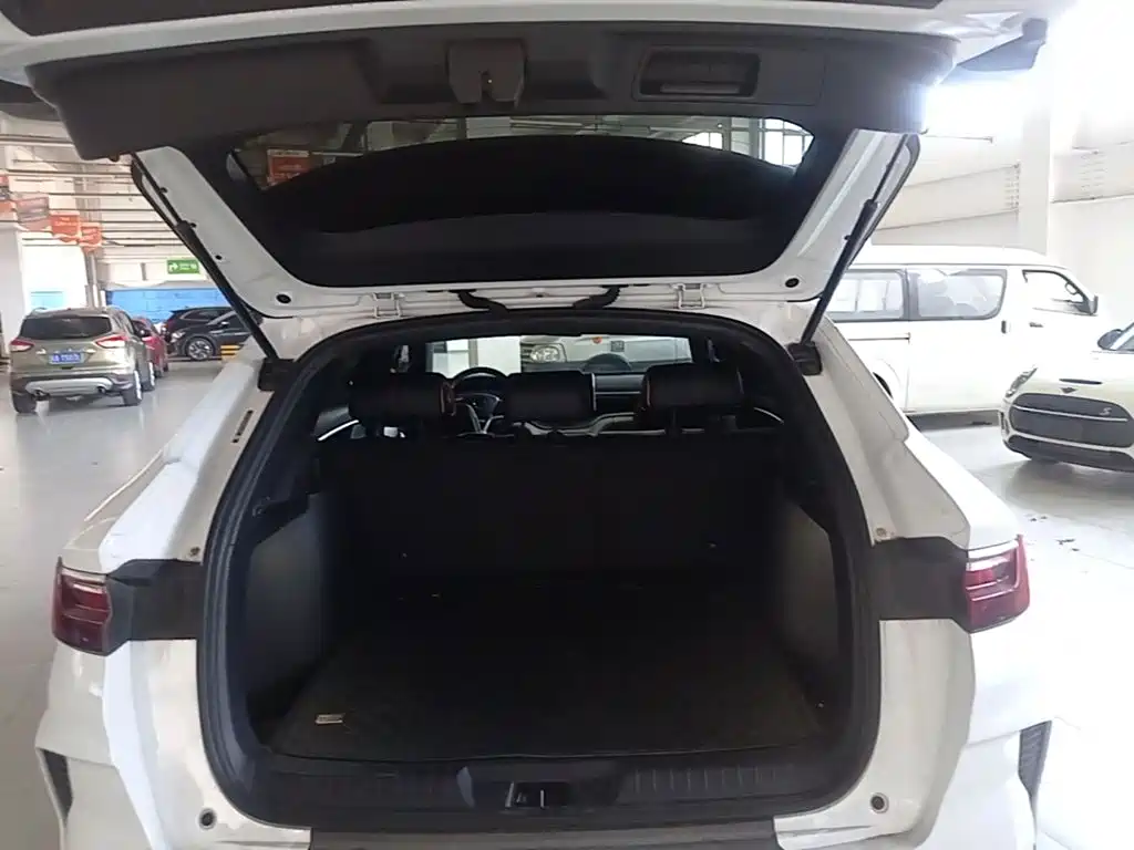 BYD PLUS New Energy — миниатюра 22