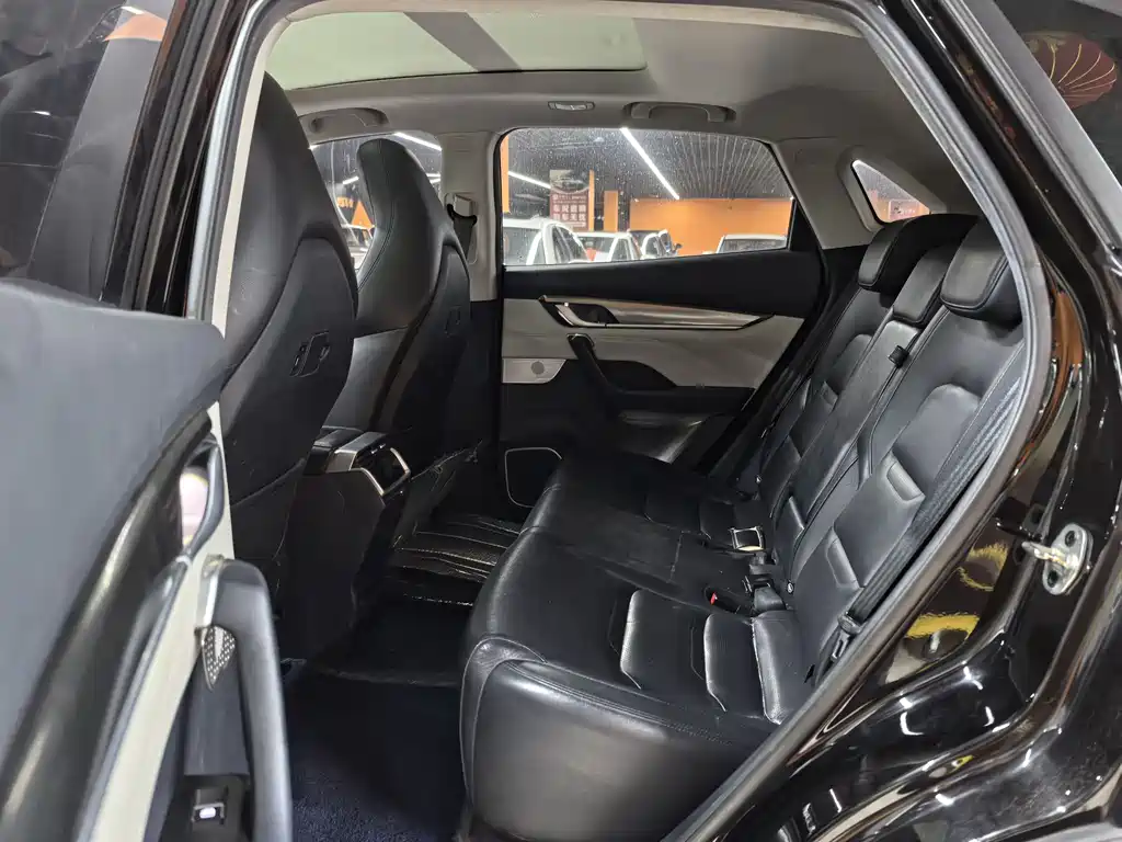 Weltmeister WEIMA EX5