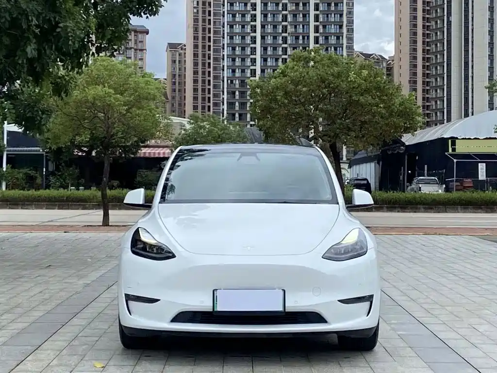 Tesla Model Y — миниатюра 2