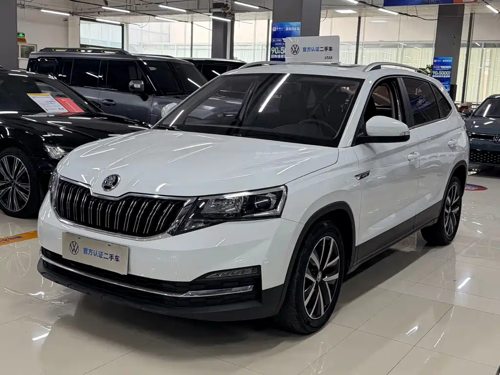 Купить Skoda Kamiq