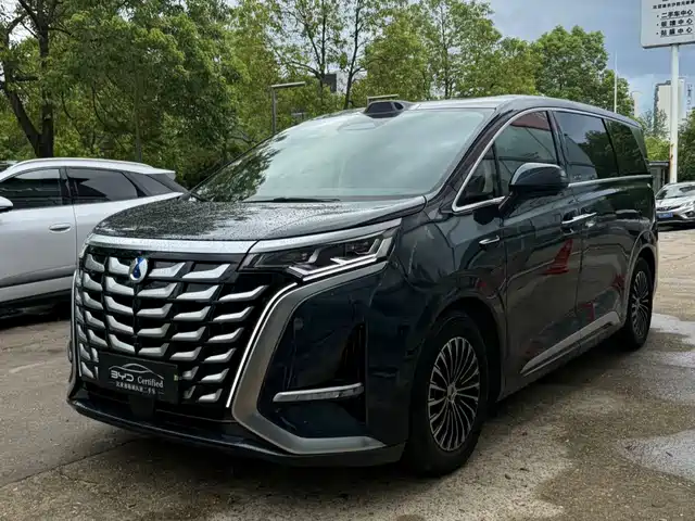 Denza D9