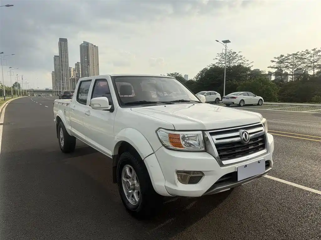 DONGFENG RUIQI