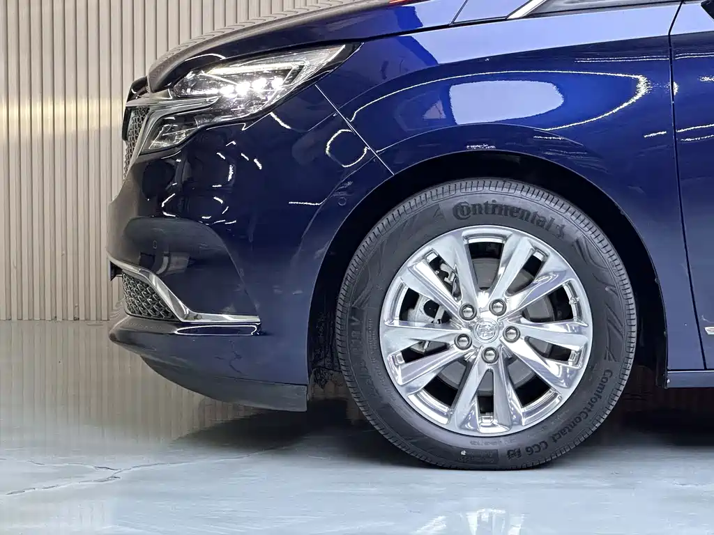 Buick GL8 — миниатюра 20
