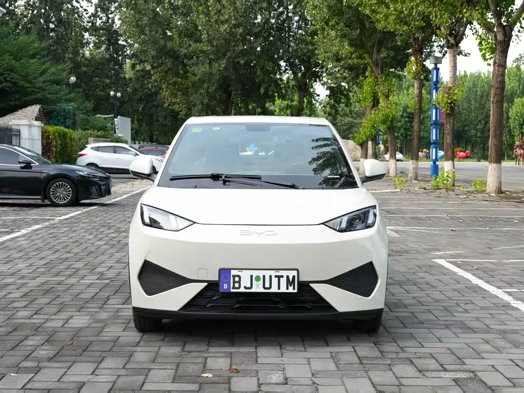 BYD Seagull - фото 2