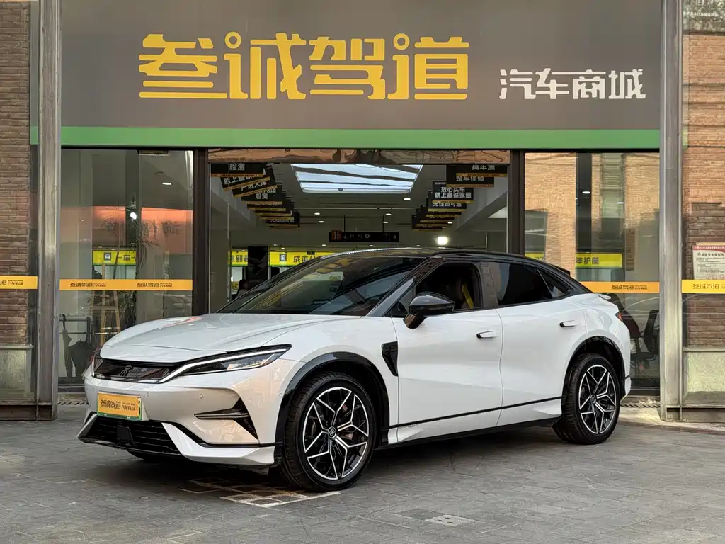BYD L EV
