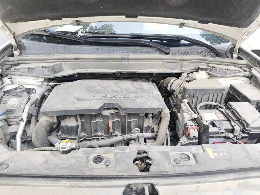 Haval H6 Coupe — миниатюра 16