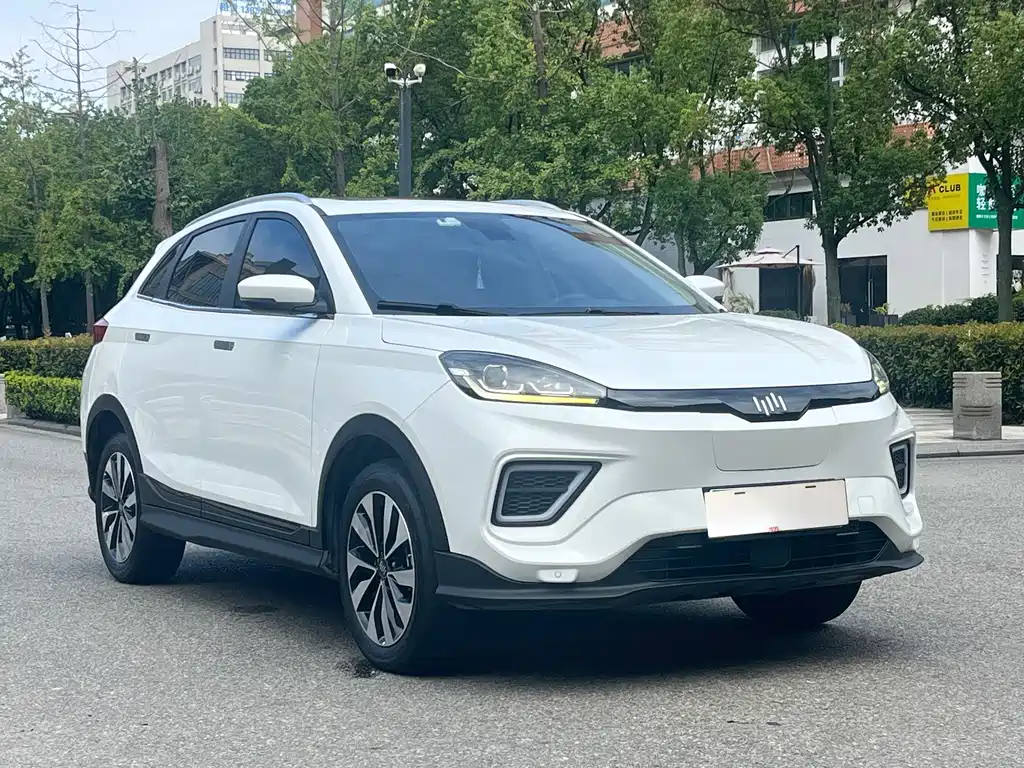 WM Motor EX5 — миниатюра 6