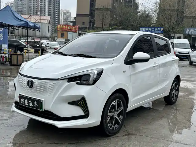 CHANGAN BENBEN E STAR 2021