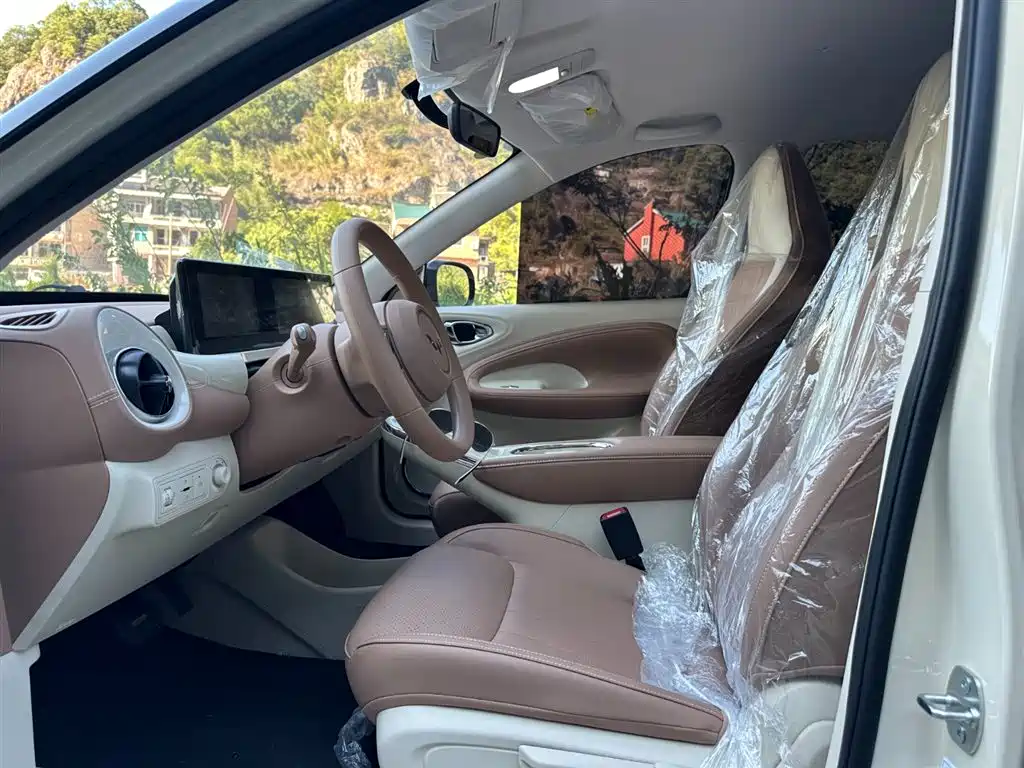Wuling Binguo 2025 333km Enjoy