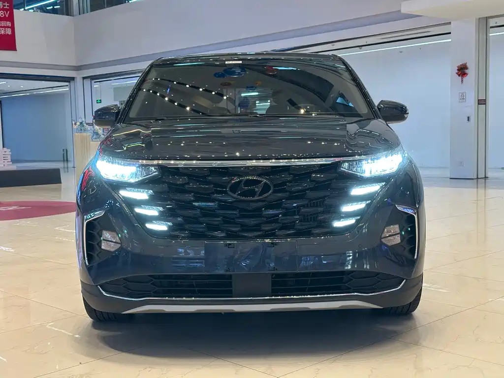 Hyundai Custo — миниатюра 2