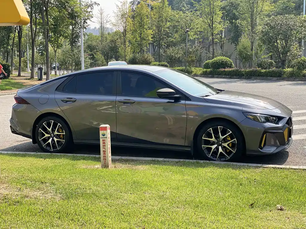 GAC Motor Shadow Leopard — миниатюра 8