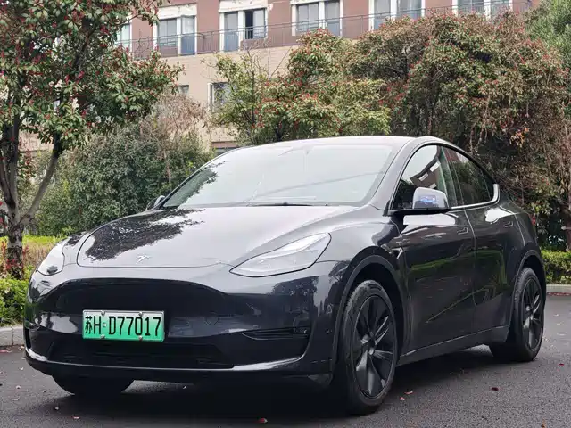 TESLA MODEL Y 2024