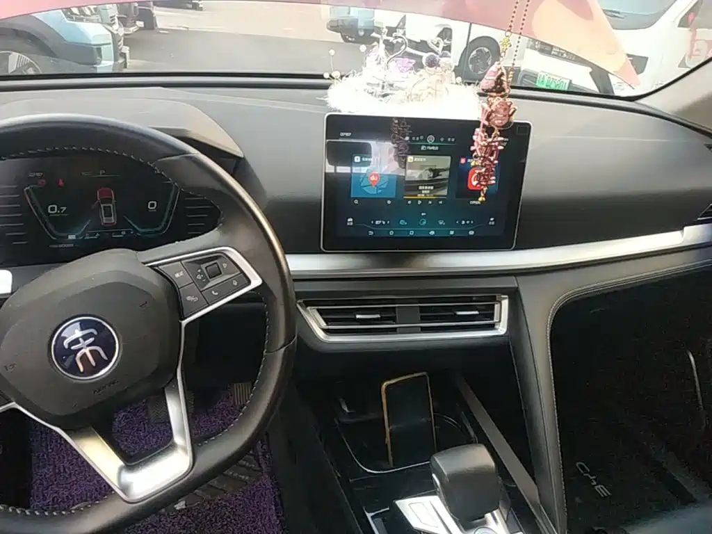 BYD Pro — миниатюра 10