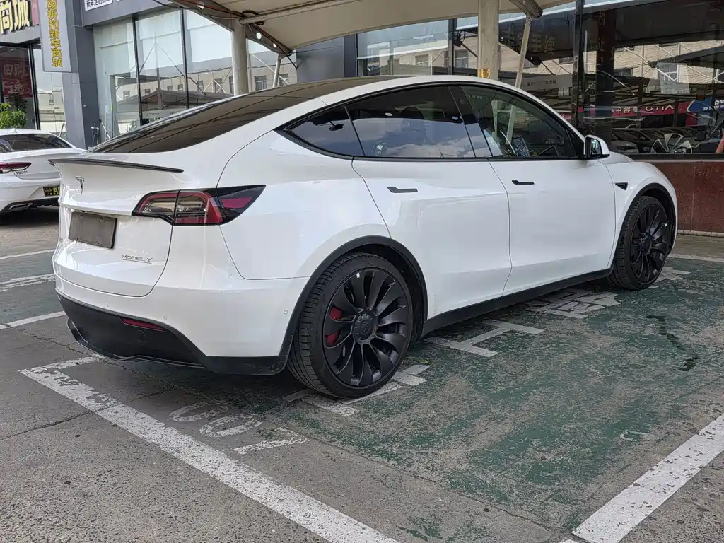 Tesla Model Y — миниатюра 6