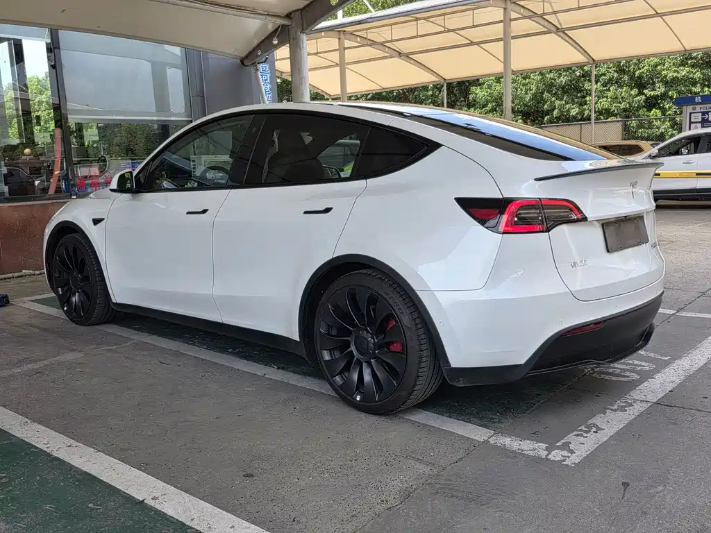 Tesla Model Y — миниатюра 7