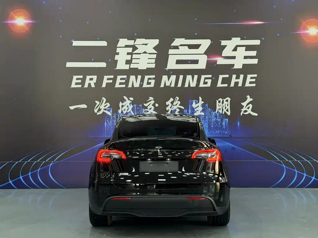 Tesla Model Y — миниатюра 5