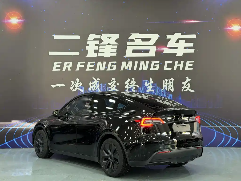 Tesla Model Y — миниатюра 6