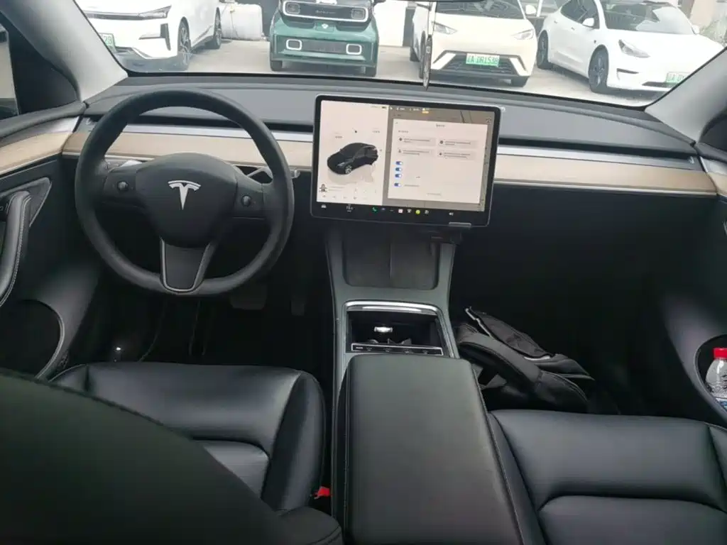 Tesla Model Y — миниатюра 10