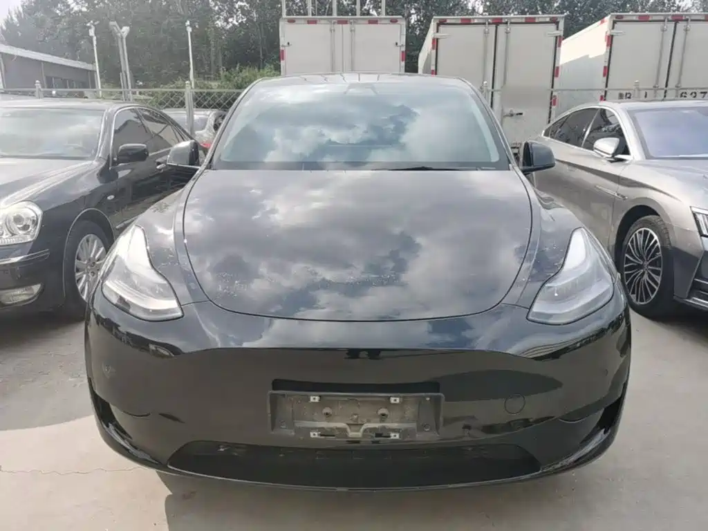 Tesla Model Y — миниатюра 3