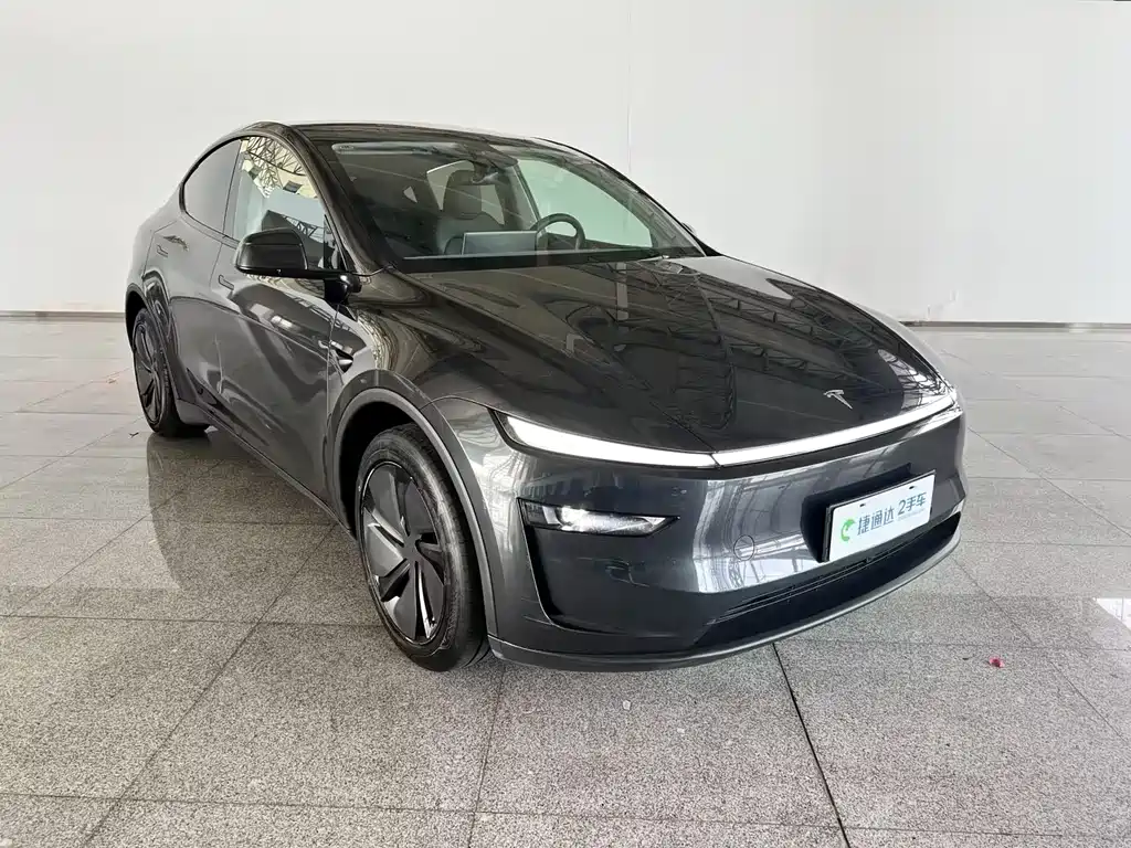 Tesla Model Y — миниатюра 16