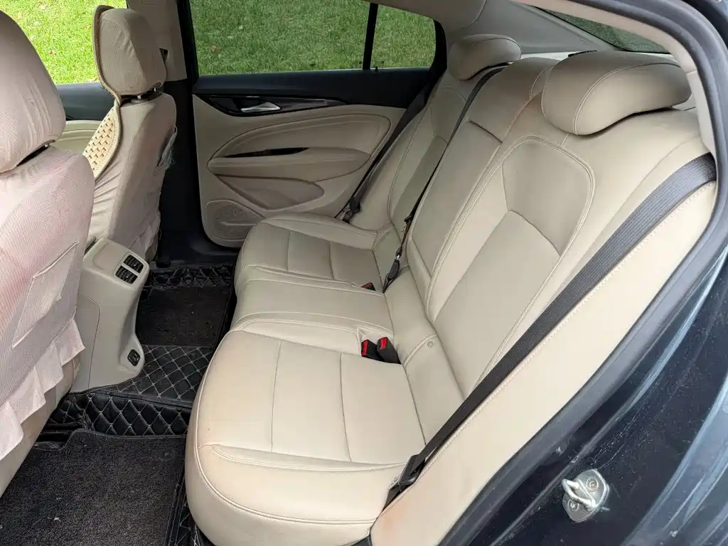 Buick Regal — миниатюра 12