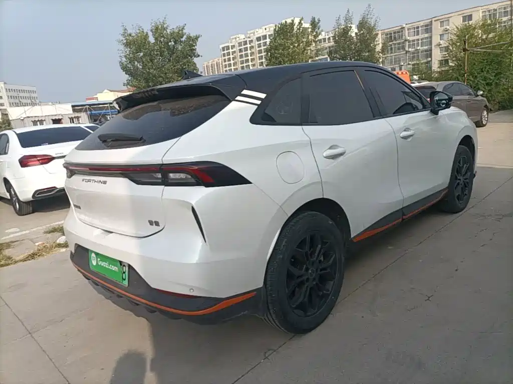 Fengxing Fengxing Leiting — миниатюра 7