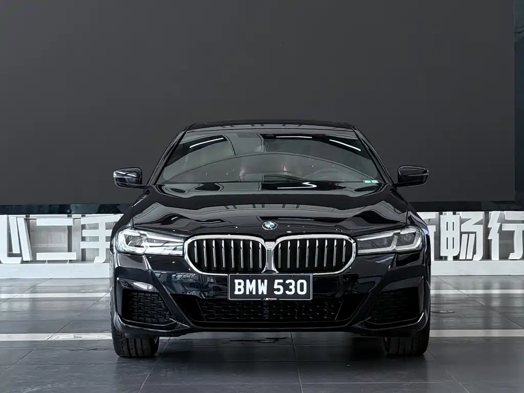 BMW 5 Series — миниатюра 2