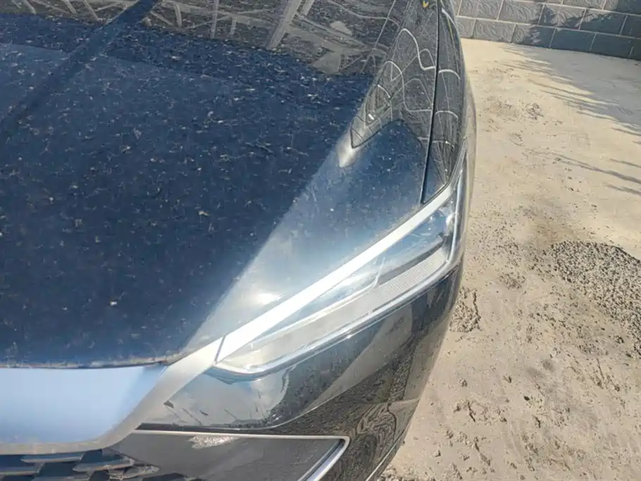 BYD Qin Plus PLUS 2024 DM-i 55KM Lead