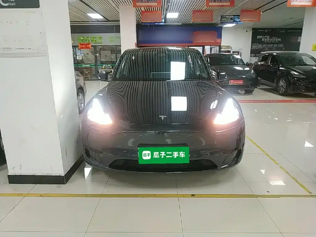 Tesla Model Y — миниатюра 3