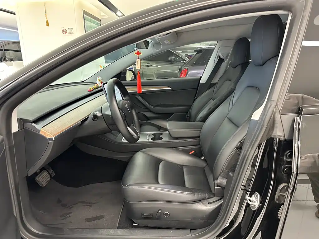 Tesla Model 3 2021 3D6