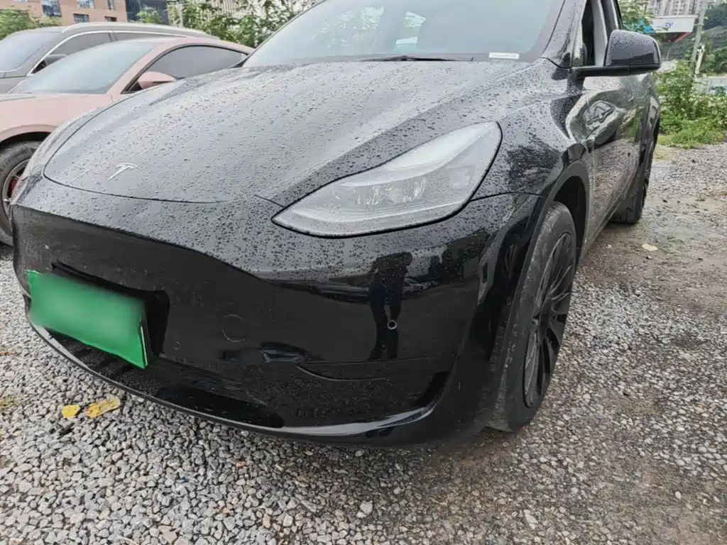 Tesla Model Y — миниатюра 24