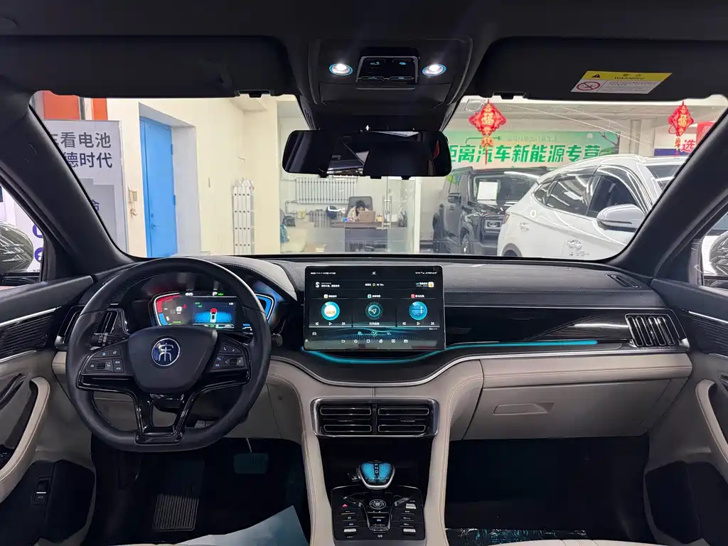 BYD PLUS New Energy — миниатюра 9
