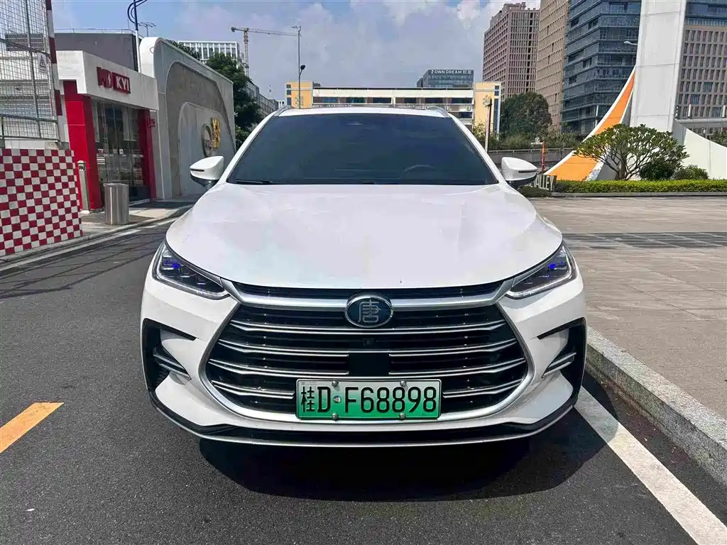 BYD Tang New Energy — миниатюра 2