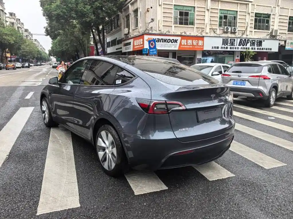 Tesla Model Y — миниатюра 5