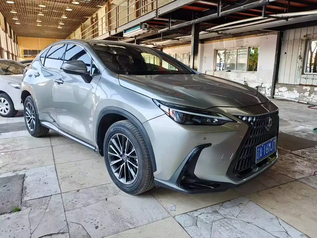 Lexus NX — миниатюра 2