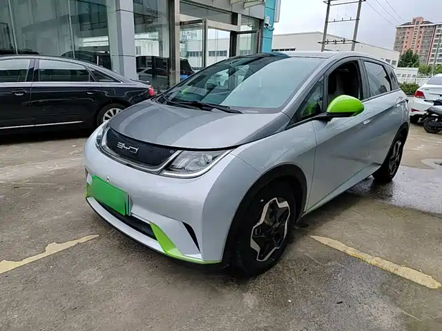 2022 BYD Dolphin