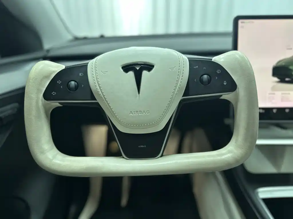 Tesla Model Y — миниатюра 7