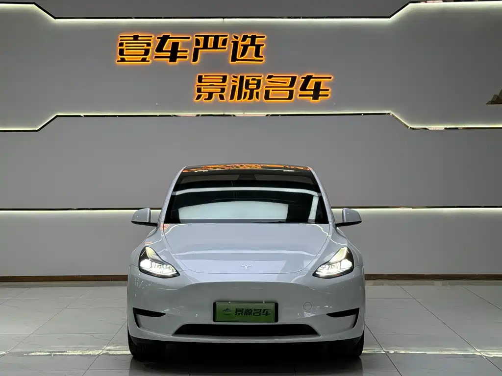 Tesla Model Y — миниатюра 3