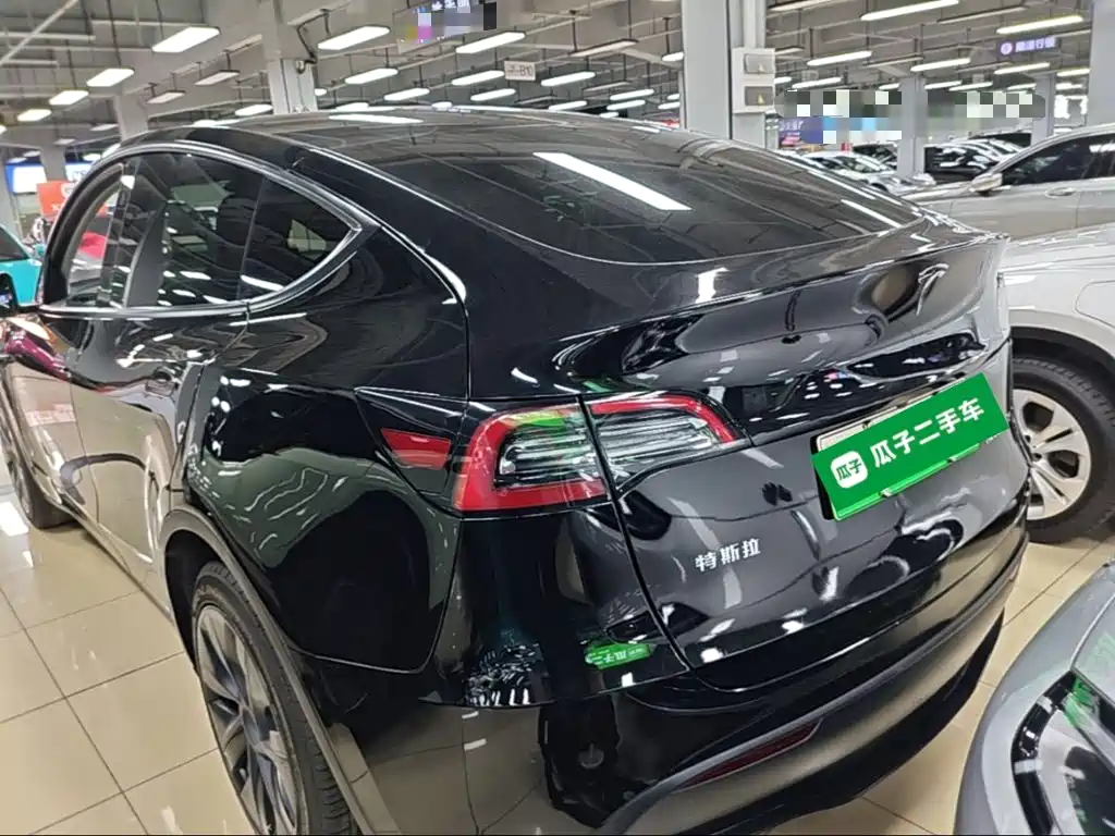 Tesla Model Y — миниатюра 5