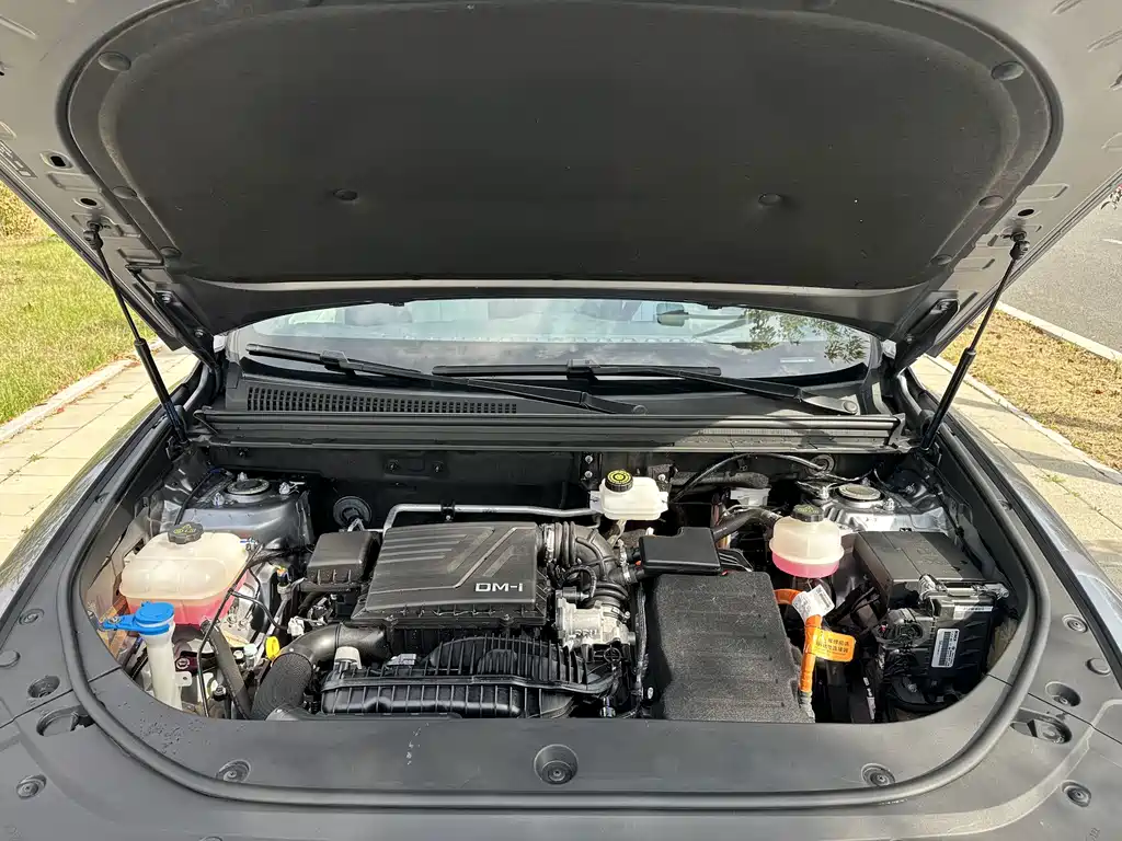 BYD Pro New Energy — миниатюра 26