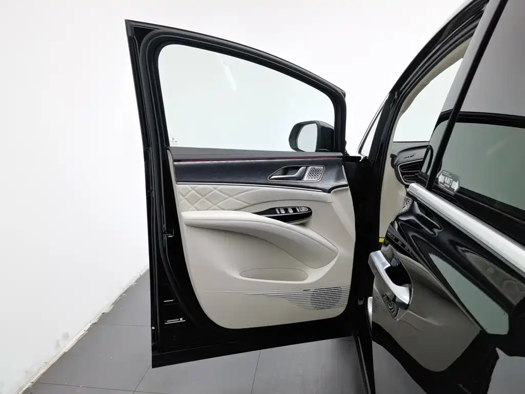 Denza Denza D9 — миниатюра 8
