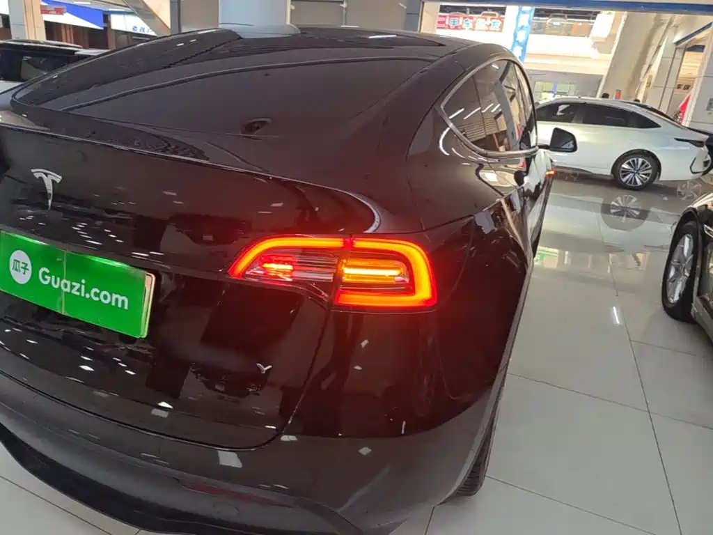 Tesla Model Y — миниатюра 8