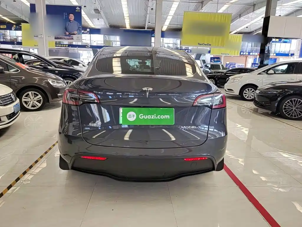 Tesla Model Y — миниатюра 6