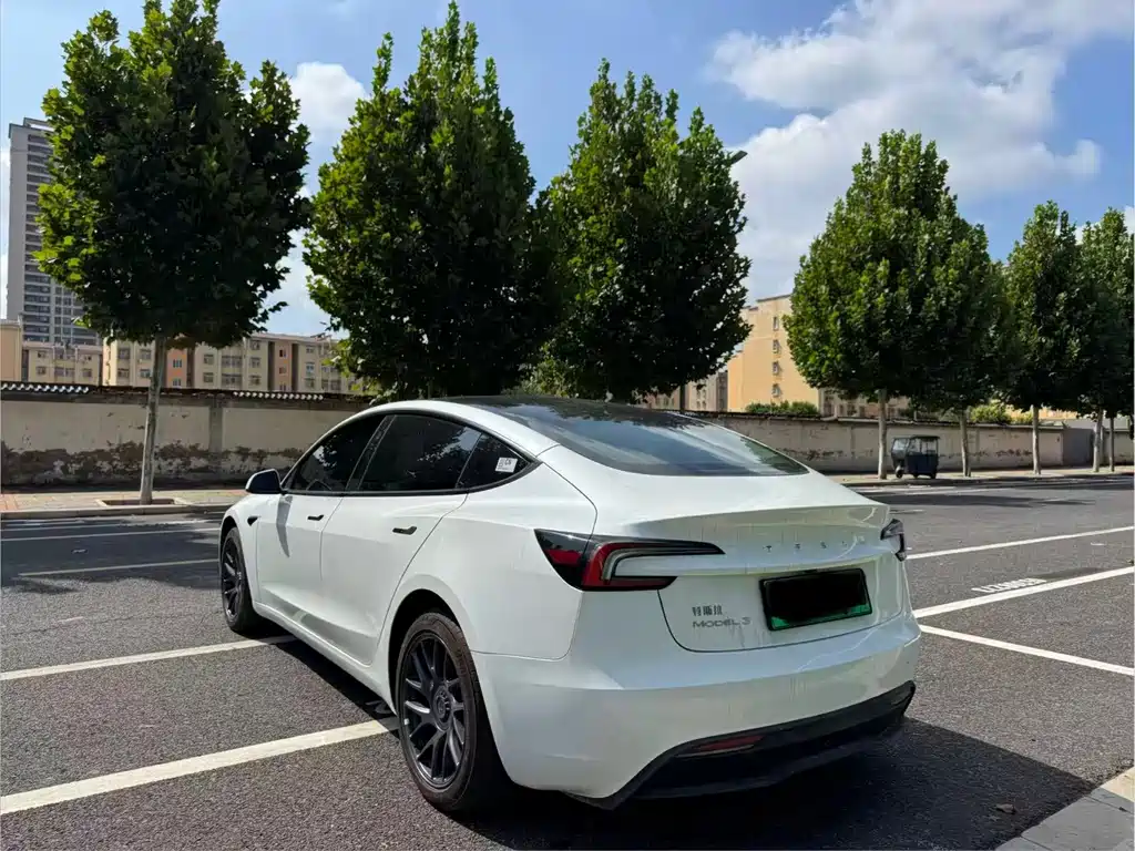 Tesla Model 3 — миниатюра 7