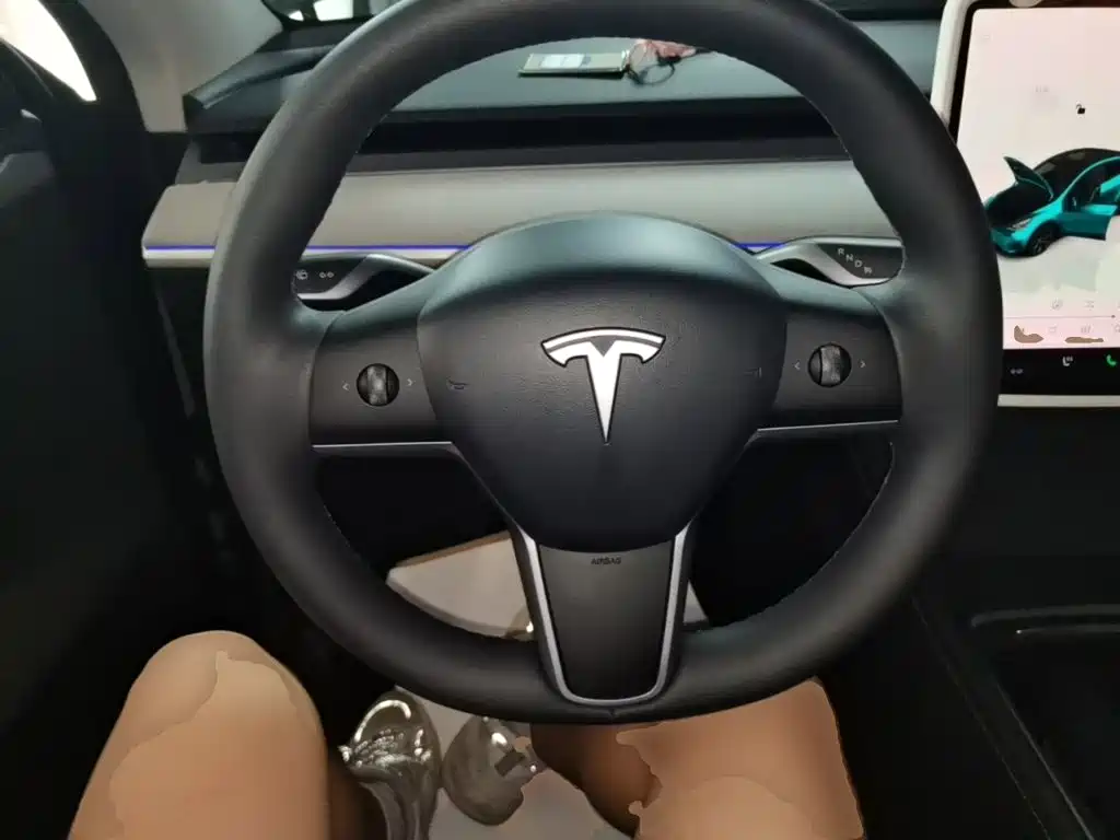 Tesla Model Y — миниатюра 11
