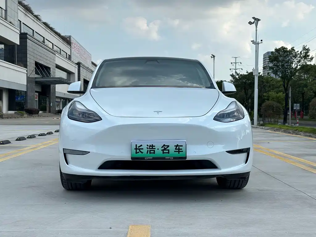 Tesla Model Y — миниатюра 2