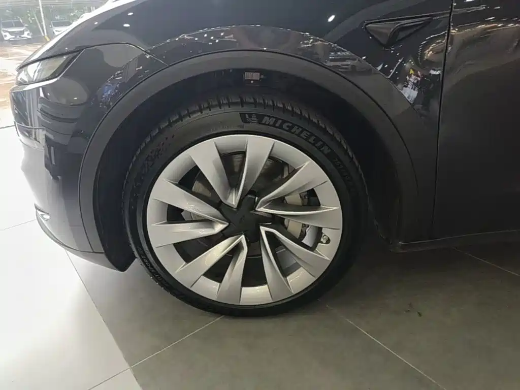 Tesla Model Y — миниатюра 23