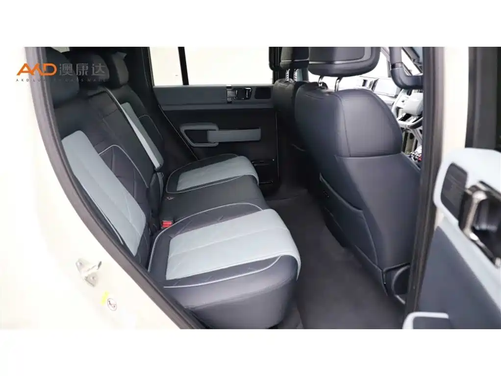 FANG CHENG BAO LEOPARD 5