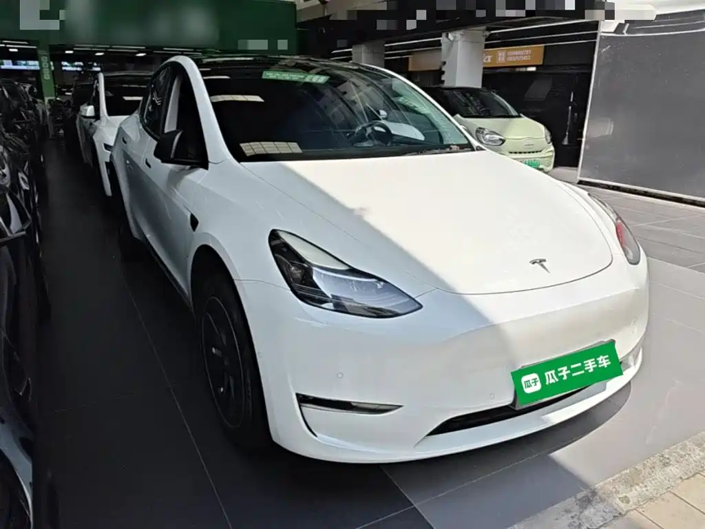 Tesla Model Y — миниатюра 4