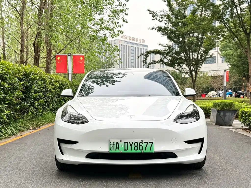 Tesla Model 3 — миниатюра 2